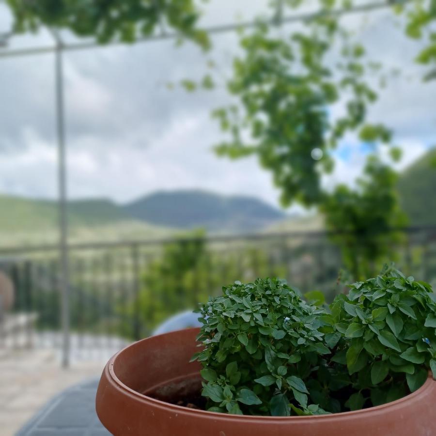 Katokhórion Jimmy'S Apartment Lefkada, Katochori מראה חיצוני תמונה
